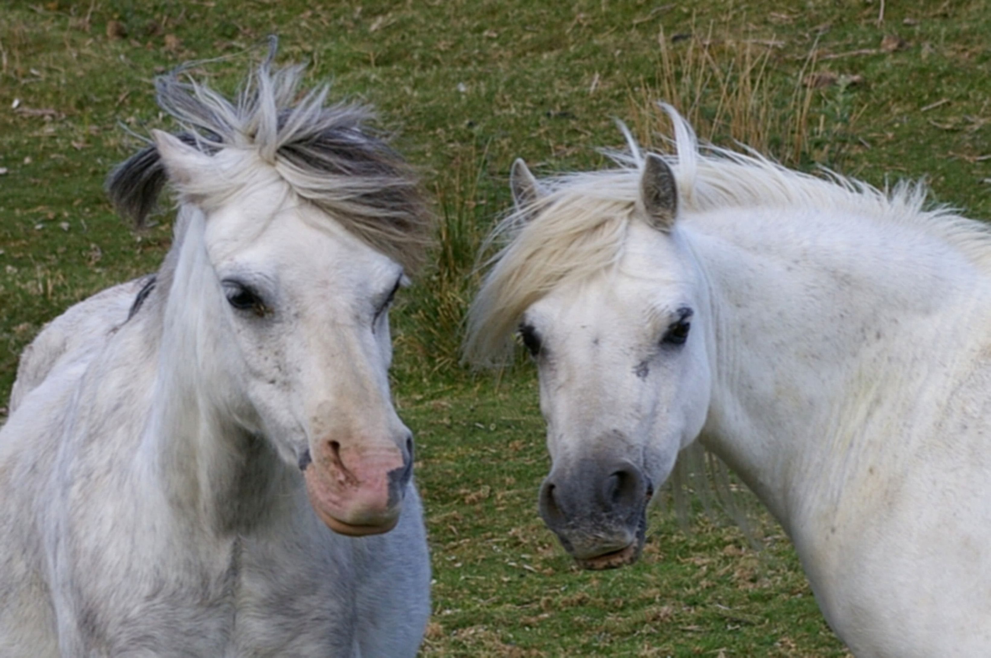 FRIENDS Bill Bagley Photography